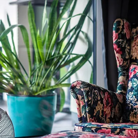 Charming Close To The Center